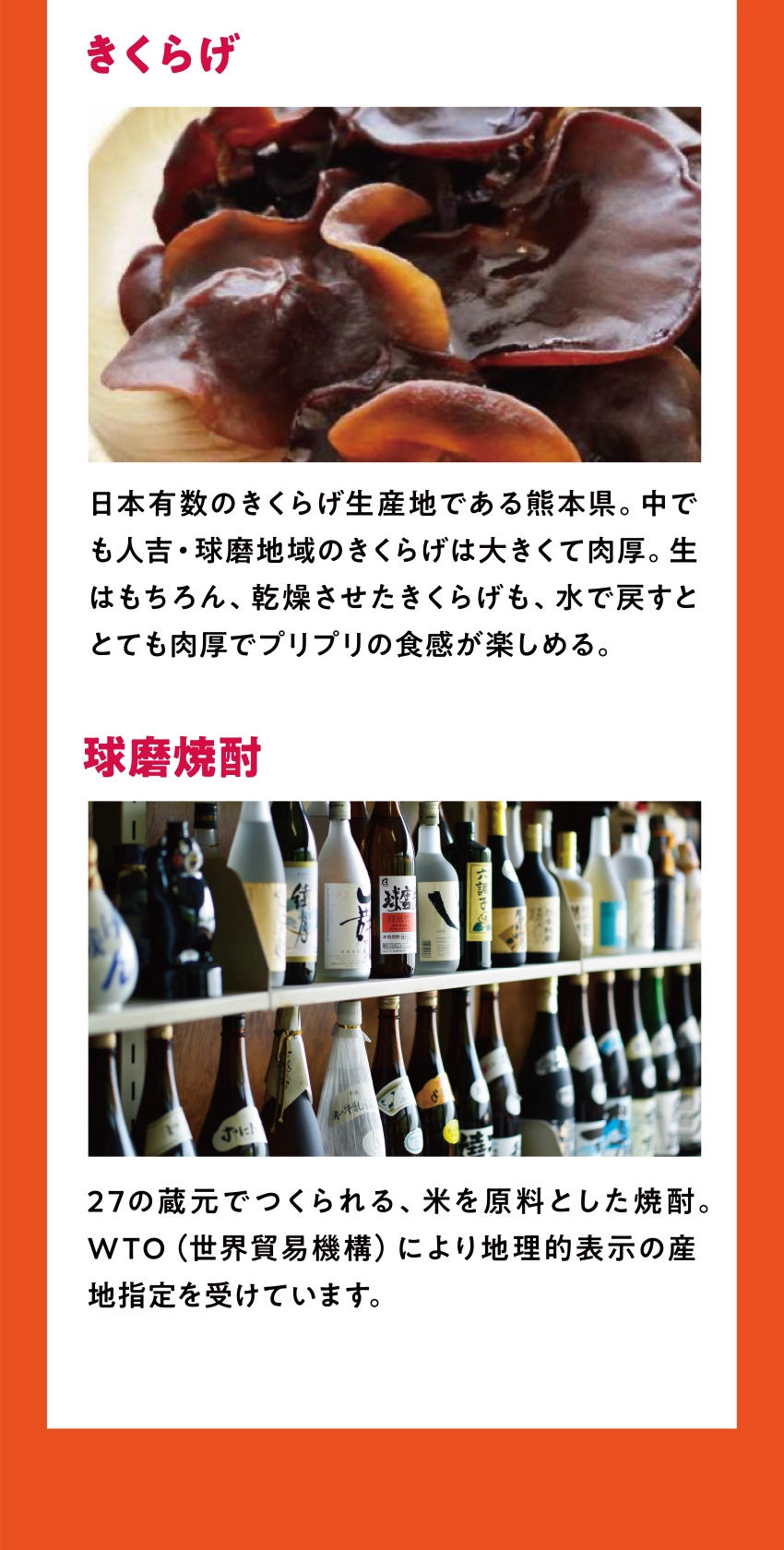 きくらげ